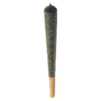 Electric Lettuce - Pineapple Sizzle Infused Pre Roll