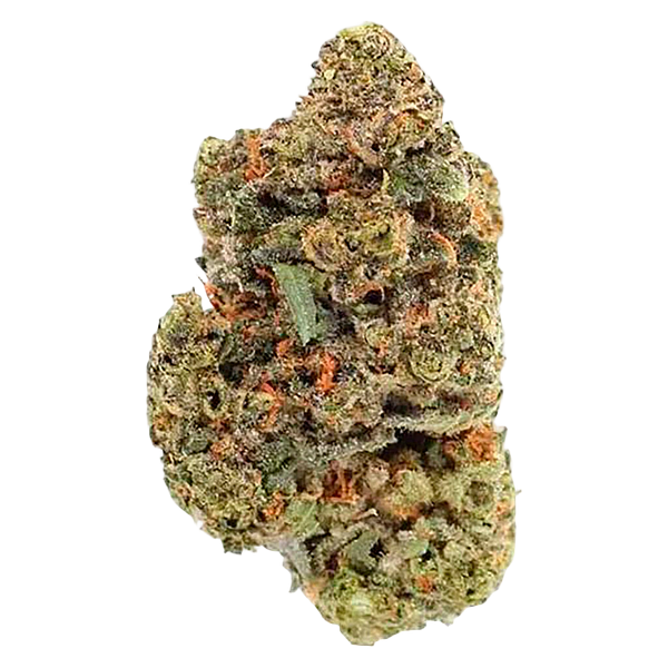 Viola - 4th Quarter (Indica)