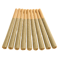 Buzz'd - Stingerz Pre Roll