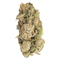 Contraband - Sherblato