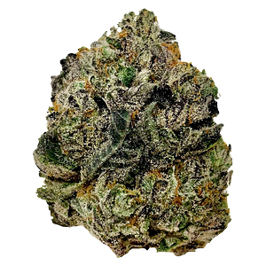 BC Green - Modified Grapes