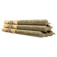 Carmel - Thin Mint x Jealousy Pre-Rolls