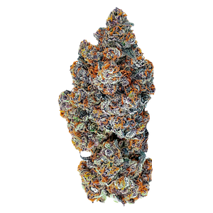 Tenzo - Espresso Gelato