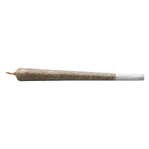 Hunny Pot - Birthday Ck Pre Roll