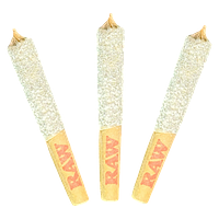 Dab Bods - Apple Spice 50's+ Triple Infused Pre Roll