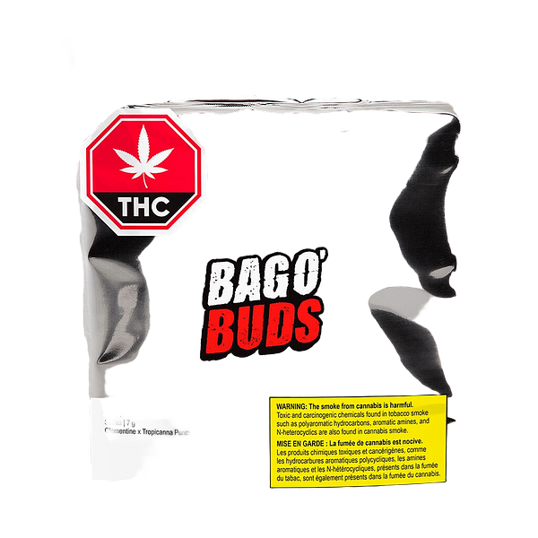 Big Bag O' Buds - Tropicanna Tangie