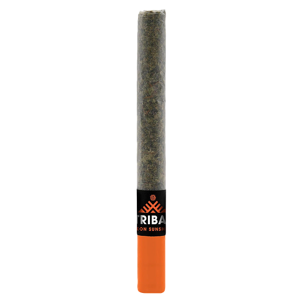 Tribal - Neon Sunshine Ceramic Tip Pre-Roll