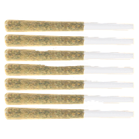 Symphony - Craft Batch Pre-Roll