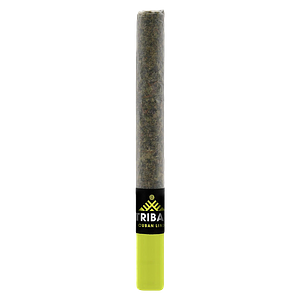 Tribal - Cuban Linx Ceramic Tip Pre-Roll