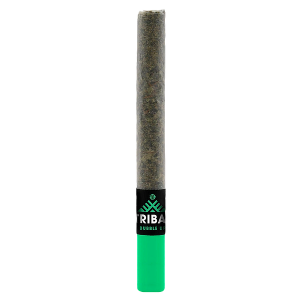 Tribal - Bubble Up Ceramic Tip Pre-Roll