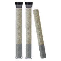 Dazed & Infused - Diesel Orchid + Live Resin + Diamond Infused Pre Roll