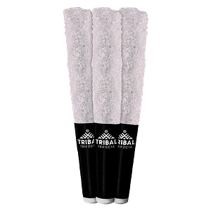 Tribal - Neon Sunshine Trifecta Infused Pre Roll