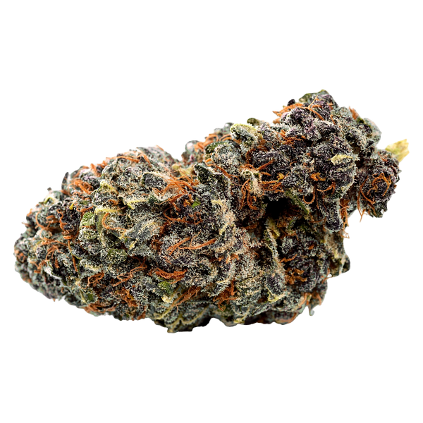 Qwest - Georgia Pie Craft Whole Flower