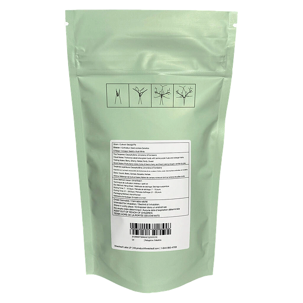 Qwest - Georgia Pie Craft Whole Flower