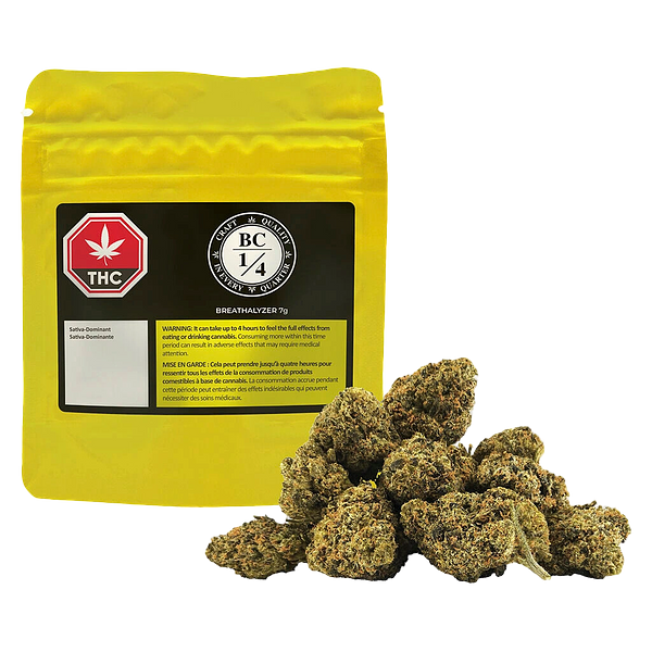 BC 1/4 - Breathalyzer