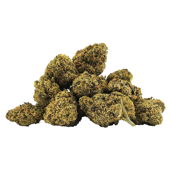 BC 1/4 - Breathalyzer