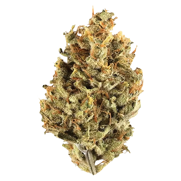 Potluck - Cranberry Cough