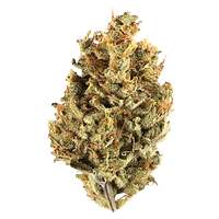 Potluck - Cranberry Cough