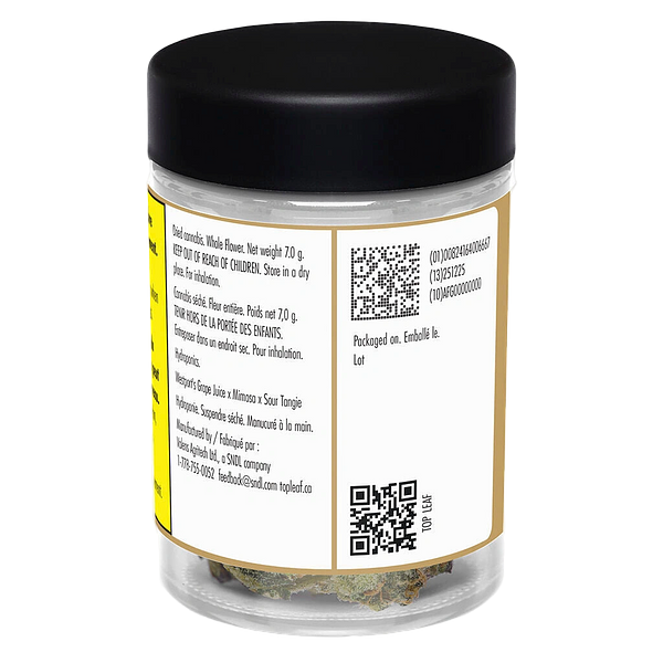 Top Leaf - Nakatomi Plaza