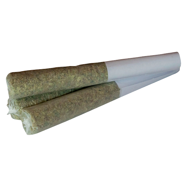 True Fire - Tropical Meltdown Pre-Roll