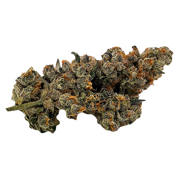 Truro - Bluenose Berry