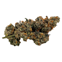 Truro - Bluenose Berry