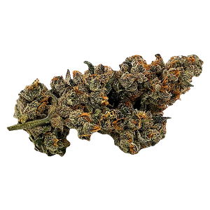 Truro - Bluenose Berry