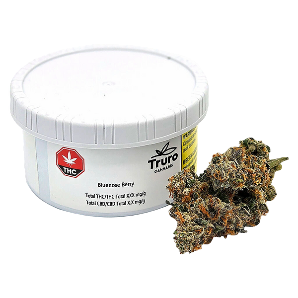 Truro - Bluenose Berry