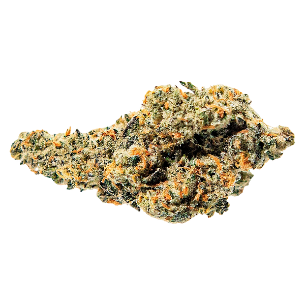 True Fire - Tropical Meltdown