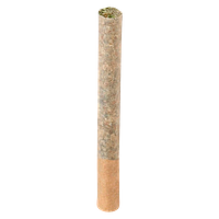 Cappellano Cannabis Co. - BC ORGANIC (LSO) MAPLE BLIZZARD Pre-Roll
