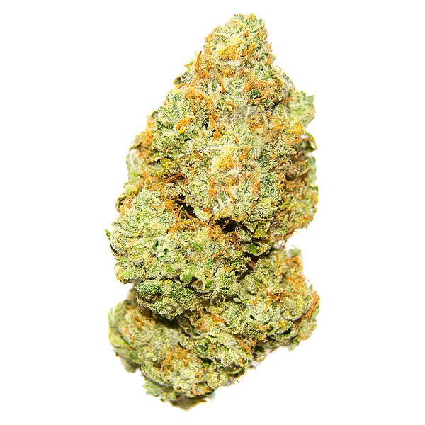 Palmetto - Sweet Deep Grapefruit image 1