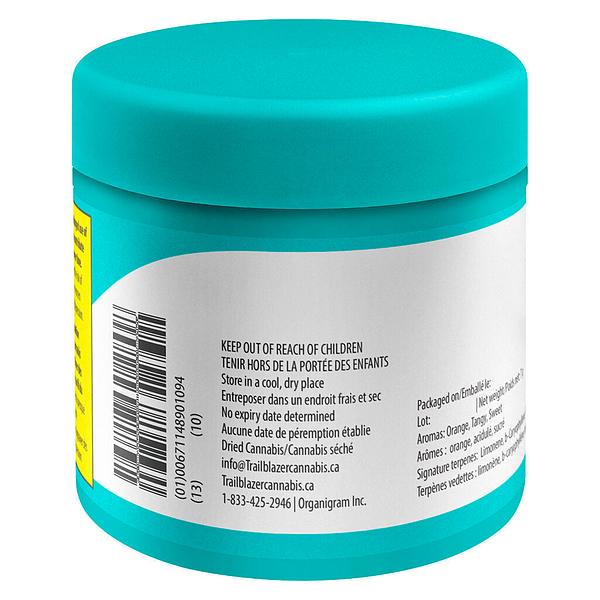 Trailblazer - M'Mosa image 3