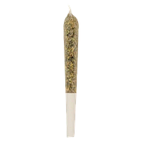 Toasted - Golden Embers Pre Roll