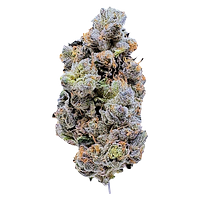 LaHoja - Platinum Blue Gellati