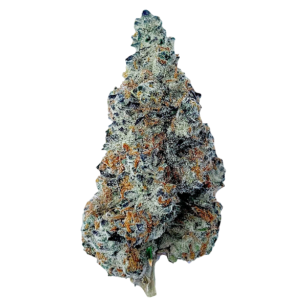 The Florist - Slurriboof Whole Flower