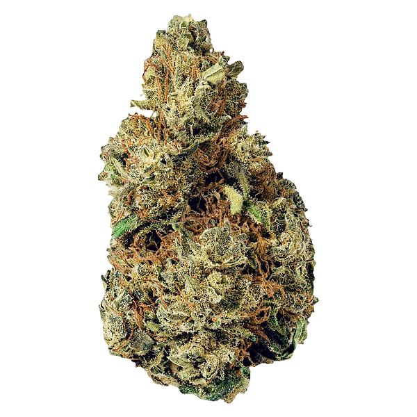 Terp Town Collective - Resting Gas Face