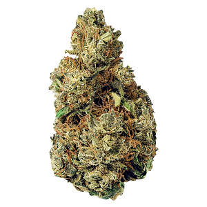 Terp Town Collective - Resting Gas Face