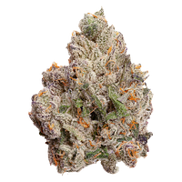 FOUR54 - Cherry Bang Bang