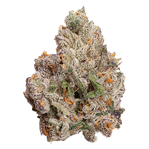 FOUR54 - Cherry Bang Bang