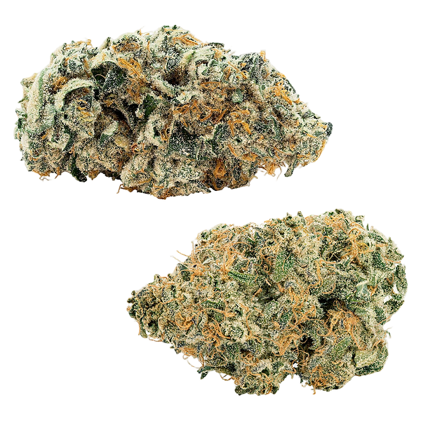 Big Bag O' Buds - Comboz: Pink Kush Mints + Purple Cherry Punch