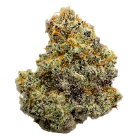 VOLO - Mac-1 (Cap's Cut)