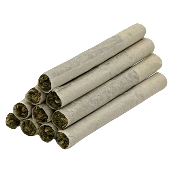 TRYGG - Low Frequency Pre Roll