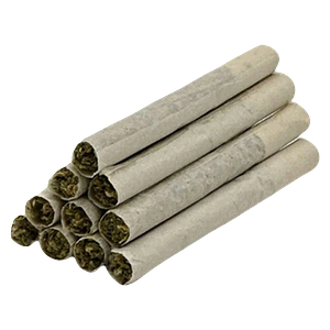 TRYGG - Low Frequency Pre Roll