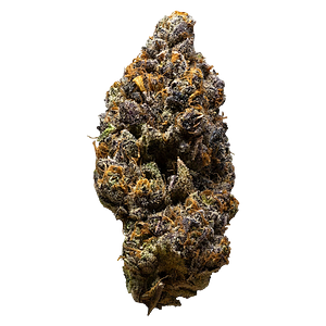 3rd Coast Genetics - Possum