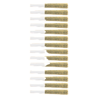 The Loud Plug - Platinum Punch Pre Roll