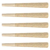 OMY! - Payday Pre Roll