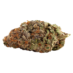 Qwest - White Walker Craft Whole Flower