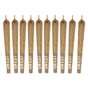 Qwest 35's - White Walker Pre-Roll