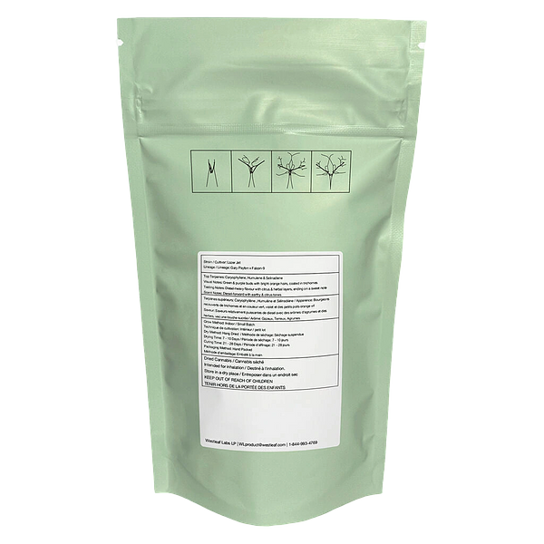 Qwest - Lazer Jet Craft Whole Flower