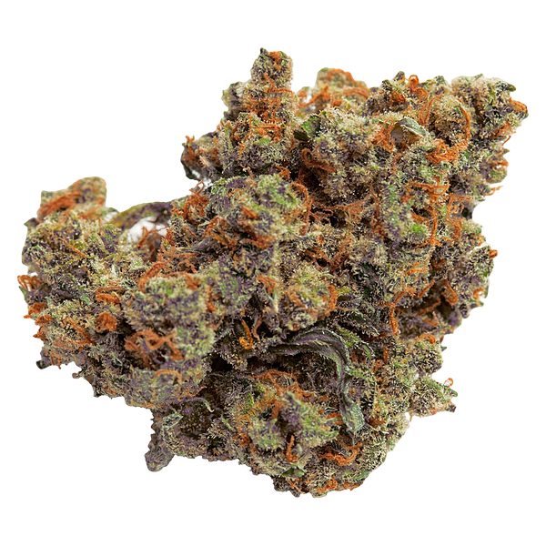 Qwest - Lazer Jet Craft Whole Flower